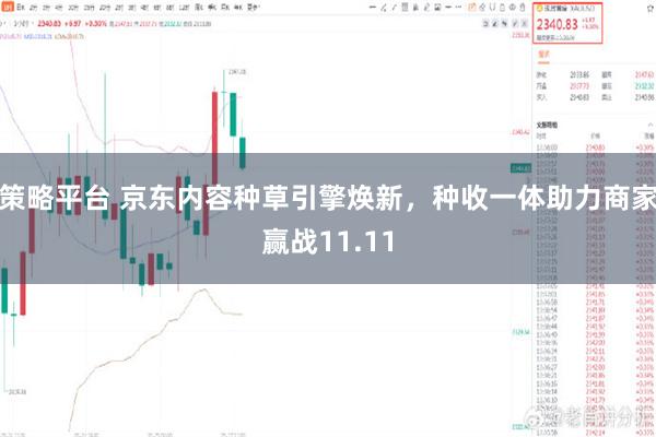 策略平台 京东内容种草引擎焕新，种收一体助力商家赢战11.11