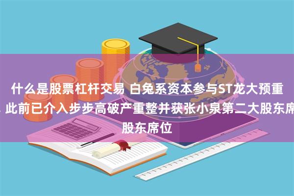 什么是股票杠杆交易 白兔系资本参与ST龙大预重整, 此前已介入步步高破产重整并获张小泉第二大股东席位