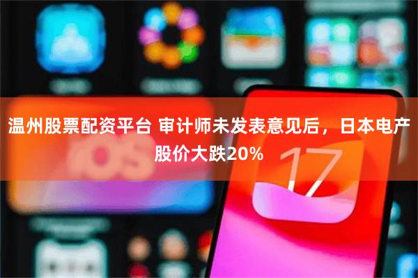 温州股票配资平台 审计师未发表意见后，日本电产股价大跌20%