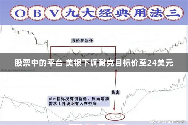 股票中的平台 美银下调耐克目标价至24美元