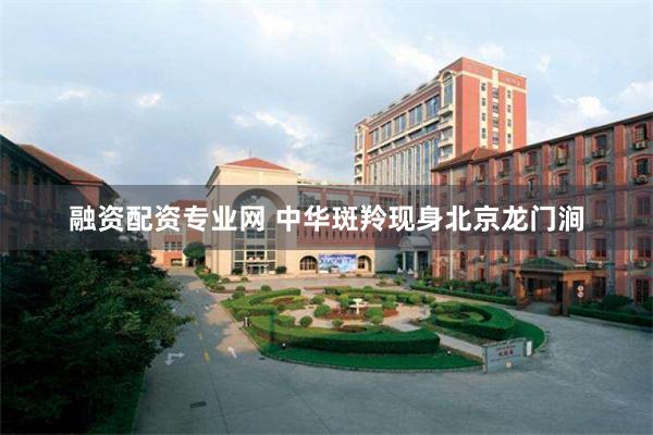 融资配资专业网 中华斑羚现身北京龙门涧